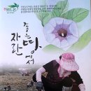 거산디자인