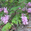 오동근린공원 이미지