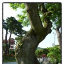 태원개발(주) 네이버블로그