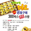착한과일 이미지