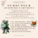 컬쳐스 이미지