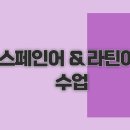 베네비엔 네이버블로그