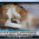[긴급필독] 우리 사건이 연합뉴스에서 다뤄졌습니다. 이미지