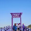 신안힐링 이미지