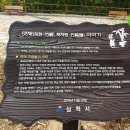 울진해물탕 이미지