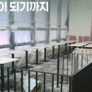 펠리체빈 이미지