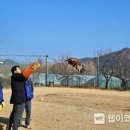 조류보호협회 밀양시지회 이미지