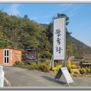 힐링정원 이미지