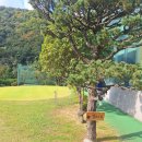 파플레이골프클럽 이미지