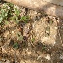 새봄농장 이미지