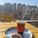 본애견미용실 이미지