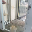 내 강아지 미용실 이미지