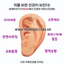 귀 건강학(이혈테라피) 이미지