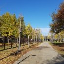 산청국민체육센터 체육관 이미지