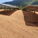 한태양광발전소 이미지