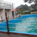 노을에기댄언덕 이미지