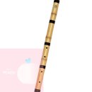 전통악기(초급) 이미지