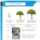 경희대 멘토 태권도장 이미지