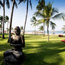 지니메드 이미지