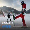 내 자녀 바로 알기 | 비발디파크 스키강습 업체 교육 후기