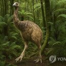 자이언트프로젝트 공감신문