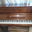 봉의고등학교 이미지