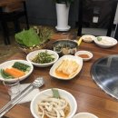 힘센장어.꼼장어