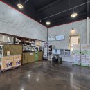 큐리애견 | 공사 후 다시 찾은 <자유로 멍>