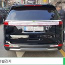 새들브라운 이미지