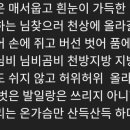 곰비님비 이미지