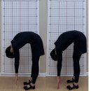 우먼’s 필라테스(여성 대상) | 부산시청필라테스 물리치료사 부원장님 수업 후기