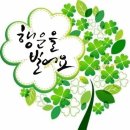 행운 이미지