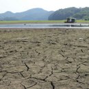 울산도 가뭄지역 ‘접근 중’ 대비책 세워야 이미지