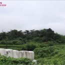 곡성-242 이미지