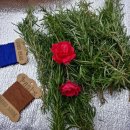 로즈마리 스머지스틱 만들기 이미지