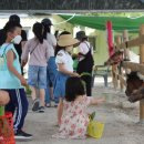 완주농장 이미지