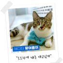 아이엠커뮤니케이션즈 이미지