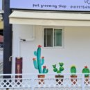 우리집강아지예쁘개 이미지