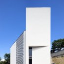 포레스트 펫 이미지