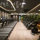 하이랙스 이미지