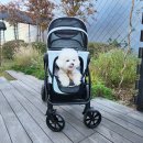 클로즈바스켓 이미지