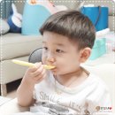 유아식 식단 고민될 땐 팜투베이비 이유식 추천해요