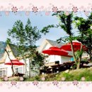 명신펜션가든 이미지