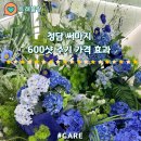 600 | 청담 써마지 600샷 주기 가격 효과 후기