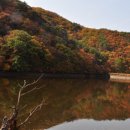 푸른초장 이미지