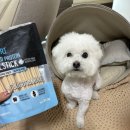 더한커머스 | 오베르 가수분해 강아지덴탈스틱 후기