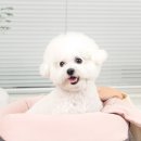 소명메디칼 이미지