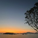 비고리조트 9 이미지