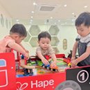 리틀포레스트 키즈풀