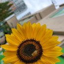 오장동 스크린골프 이미지